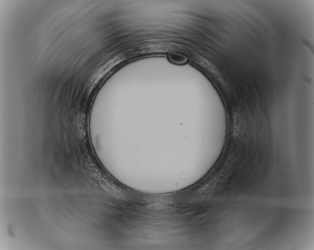 X0000103140786200809121753