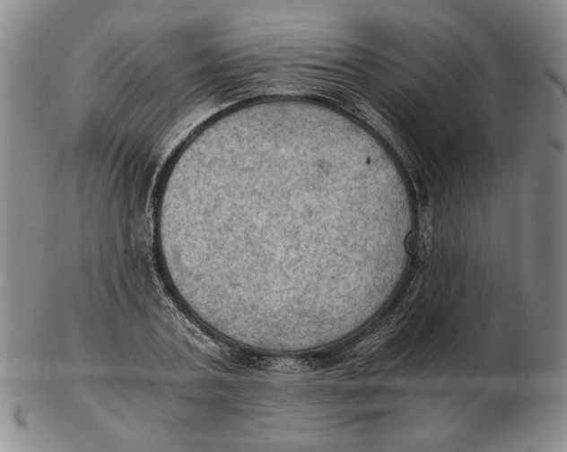 X0000103140787200809121753