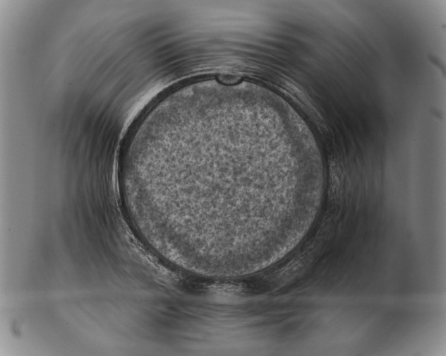 X0000103140788200809121753