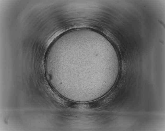 X0000103140789200809121753