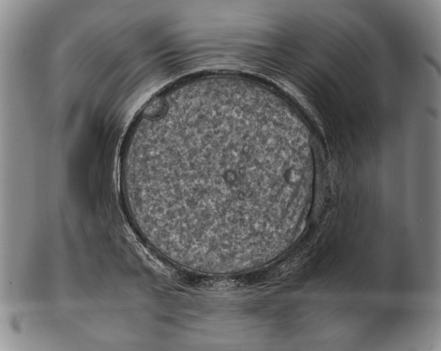 X0000103140791200809121753