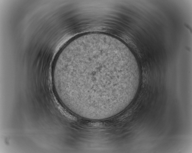 X0000103140792200809121753