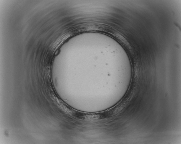 X0000103140793200809121753