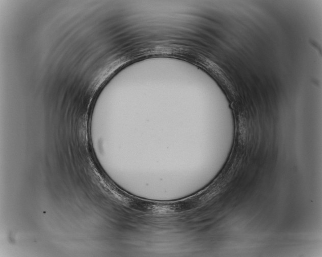 X0000103140794200809121753