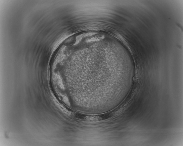 X0000103140795200809121753