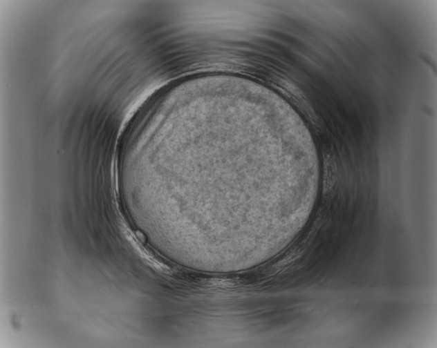 X0000103140796200809121753