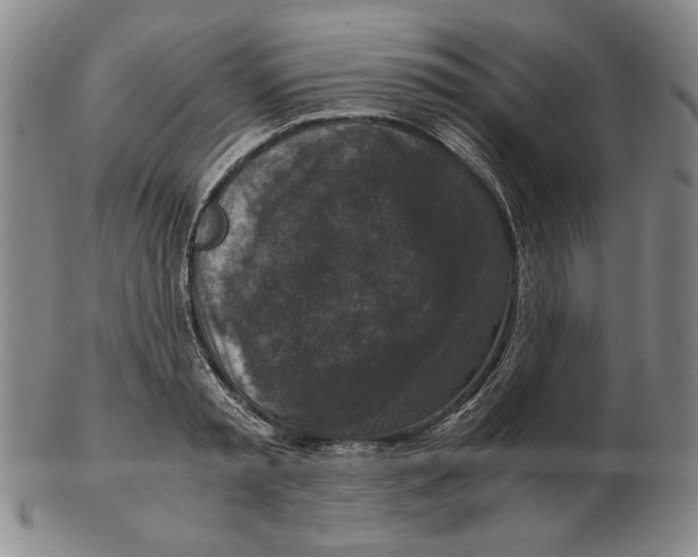 X0000103140797200809121753