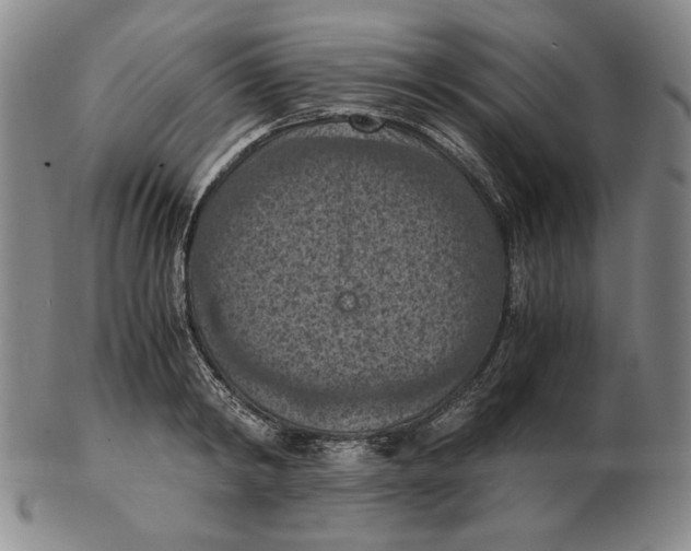 X0000103140798200809121753