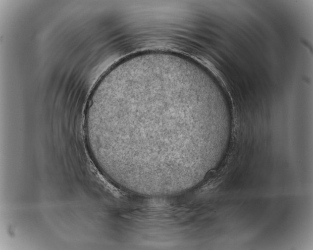 X0000103140799200809121753