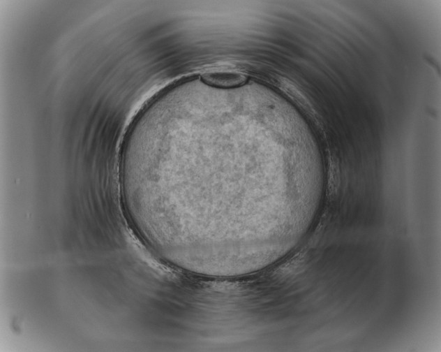 X0000103140800200809121753