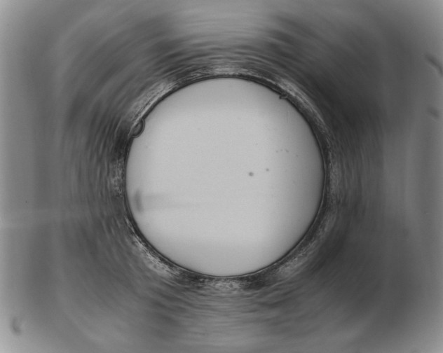 X0000103140801200809121753