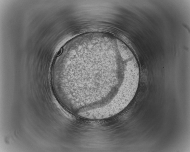 X0000103140803200809121753