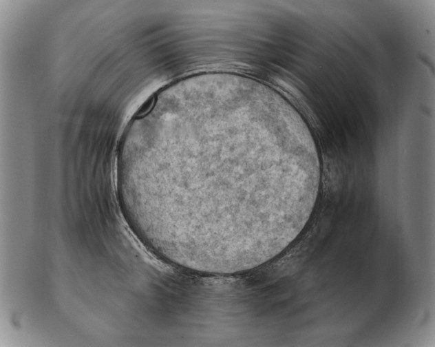 X0000103140804200809121753