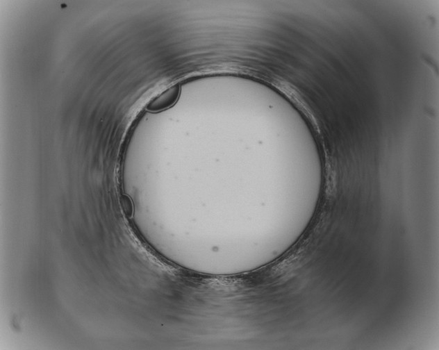 X0000103140805200809121753