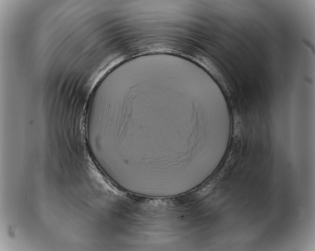 X0000103140806200809121753