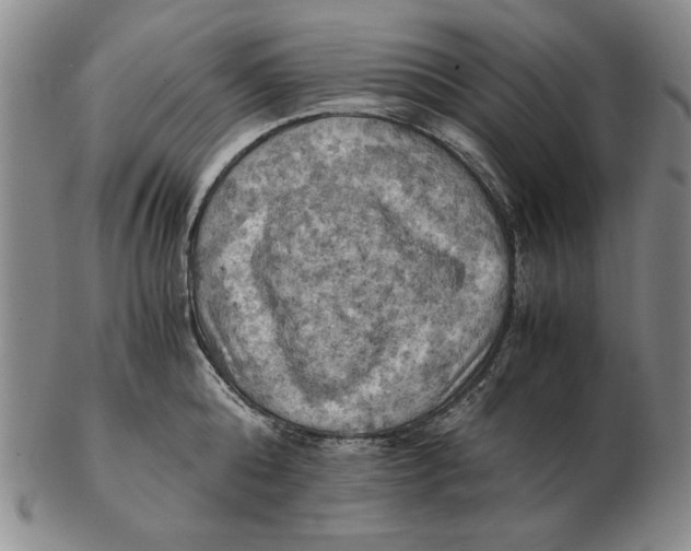 X0000103140808200809121753