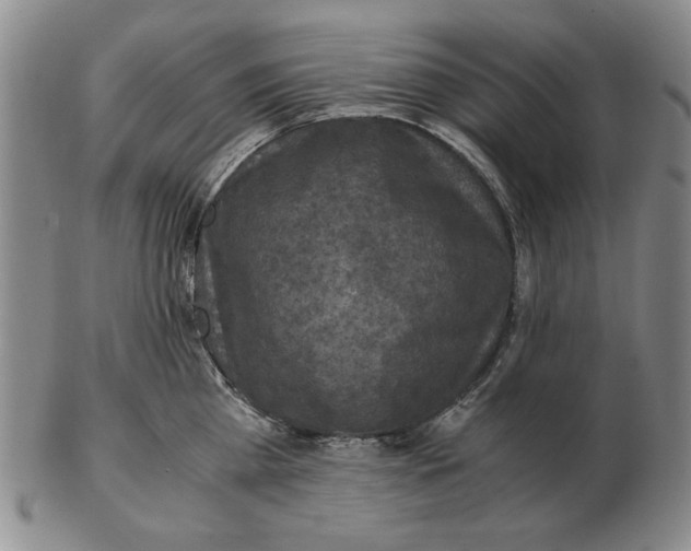 X0000103140809200809121753