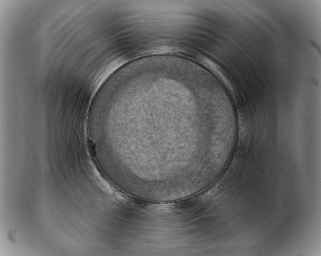 X0000103140810200809121753