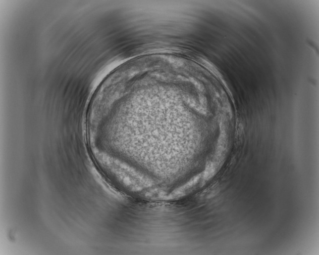 X0000103140811200809121752