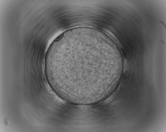 X0000103140812200809121752