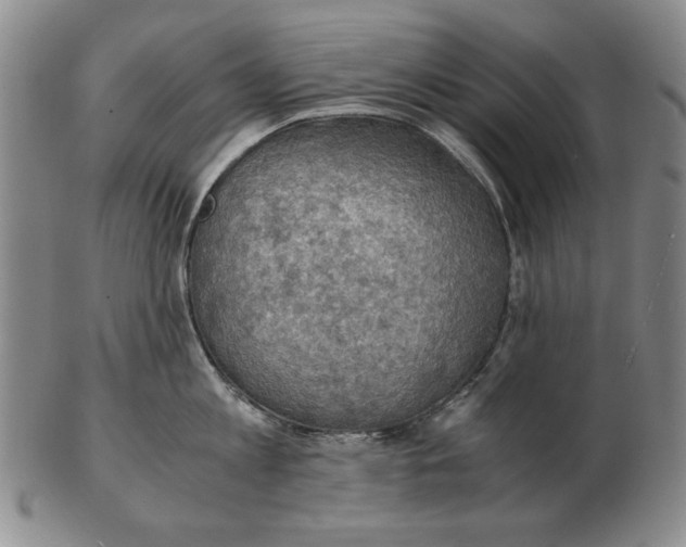 X0000103140813200809121752