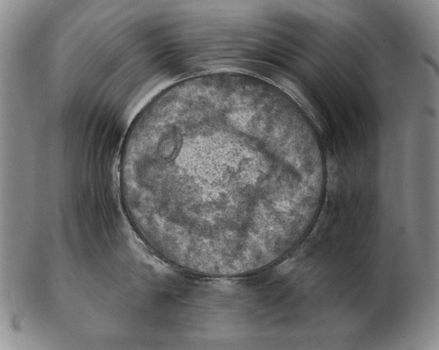 X0000103140814200809121752