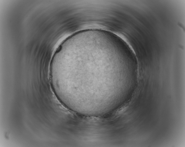 X0000103140815200809121752