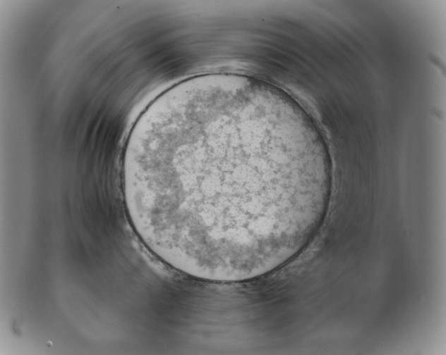 X0000103140816200809121752