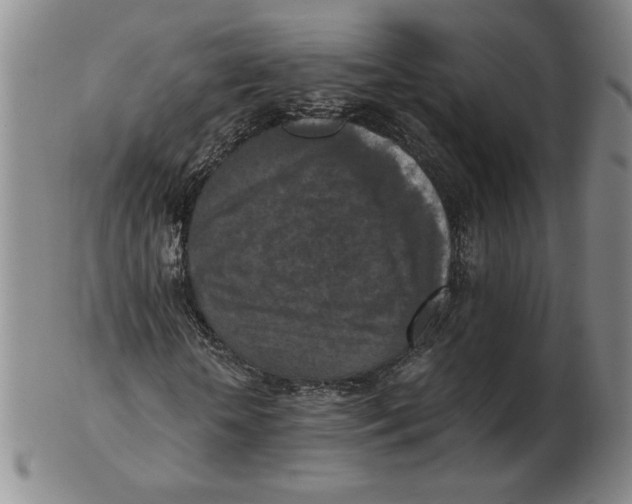 X0000103140818200809121752