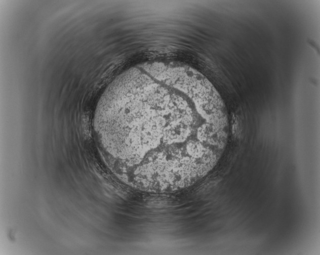 X0000103140819200809121752