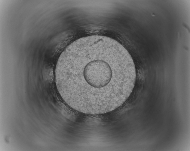 X0000103140820200809121752