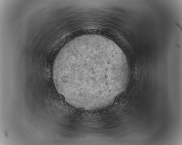 X0000103140821200809121752