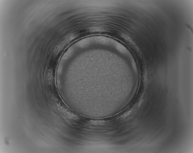 X0000103140825200809121752