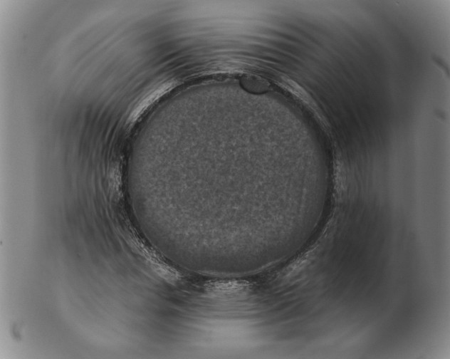 X0000103140826200809121752