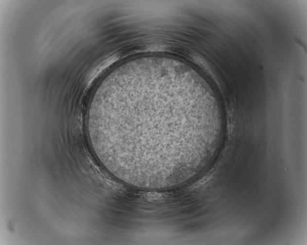 X0000103140827200809121752