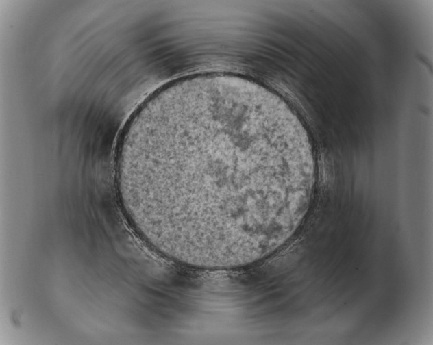 X0000103140828200809121752