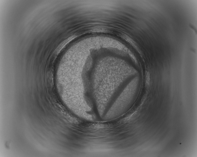 X0000103140829200809121752