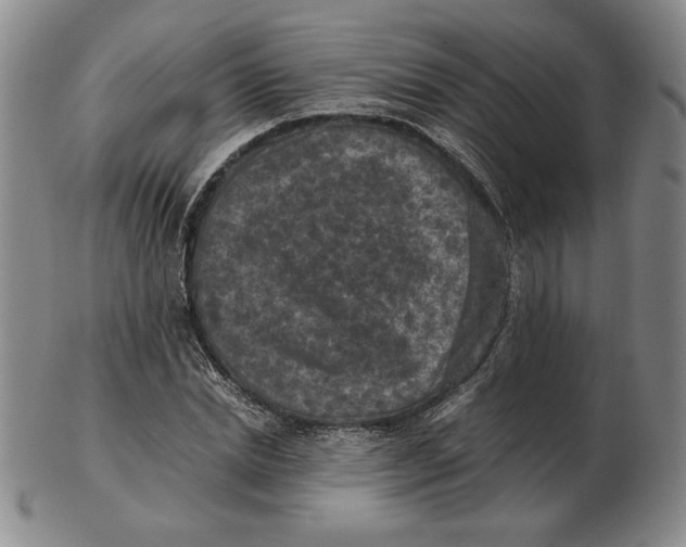 X0000103140830200809121752