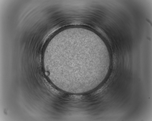 X0000103140831200809121752