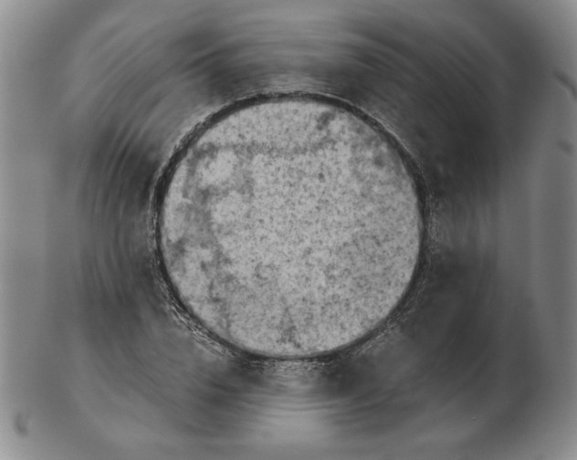 X0000103140832200809121752