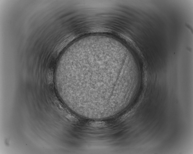 X0000103140833200809121752