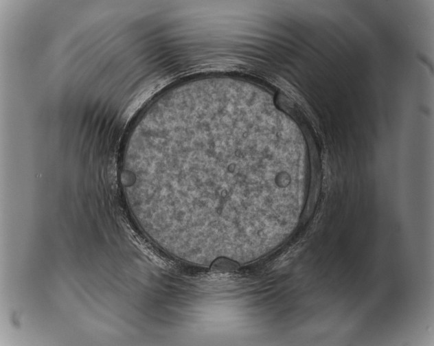 X0000103140834200809121752