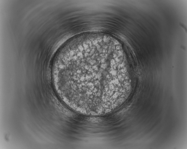 X0000103140835200809121752