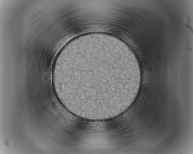 X0000103140836200809121752