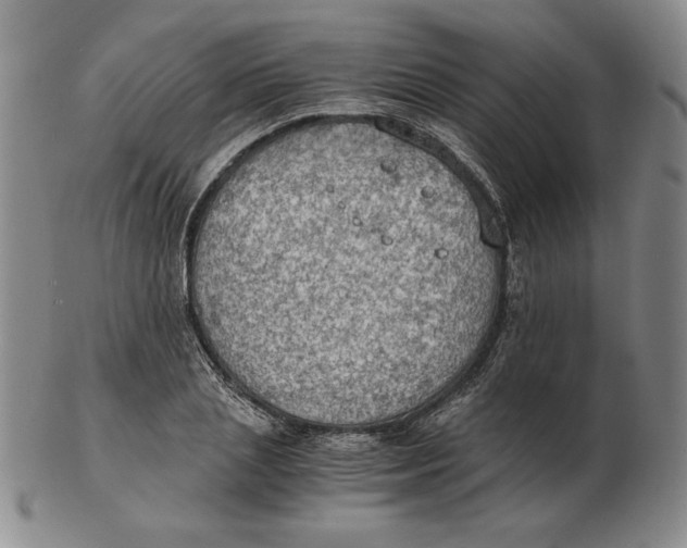 X0000103140837200809121752