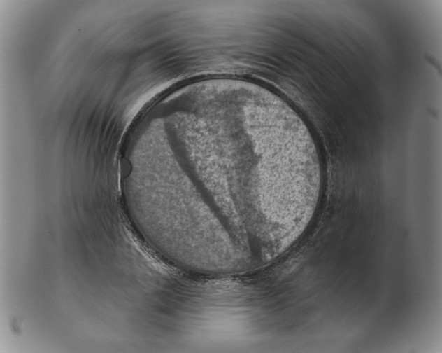 X0000103140838200809121752