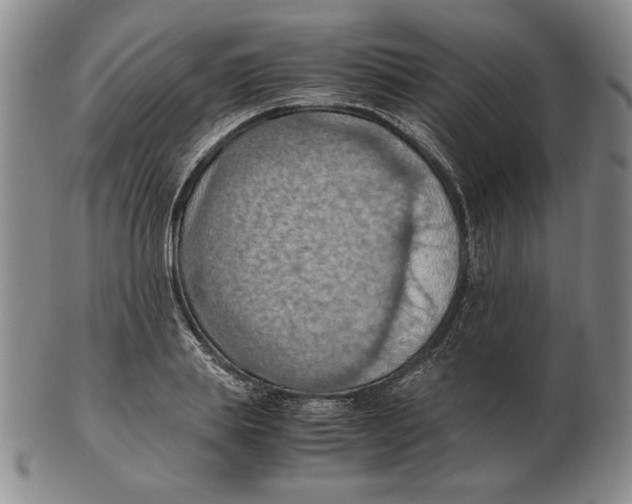 X0000103140839200809121752