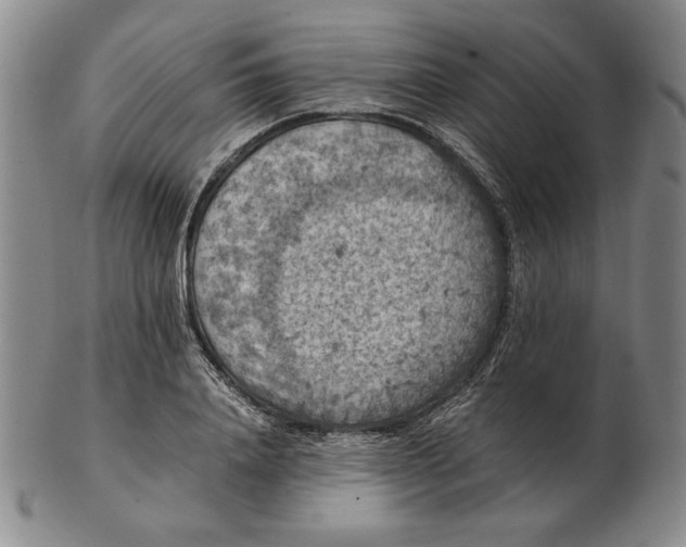 X0000103140840200809121752