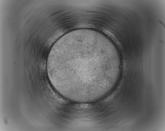 X0000103140841200809121752