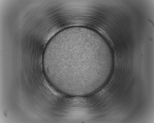 X0000103140842200809121752